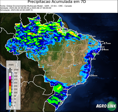 7 dias