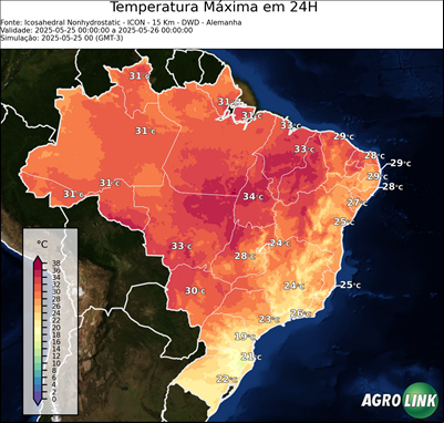 24 horas