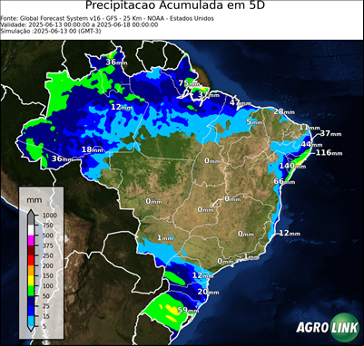 5 dias