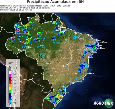 6 horas