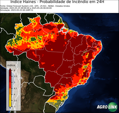 24 horas