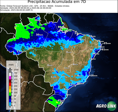 7 dias