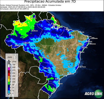 7 dias