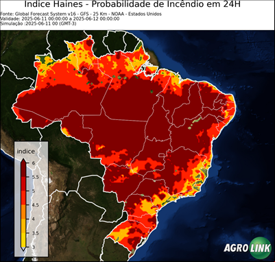 24 horas