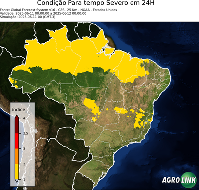 24 horas