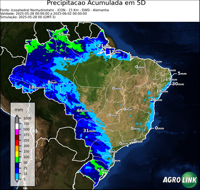 5 dias