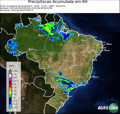 6 horas