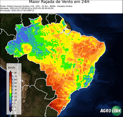 24 horas