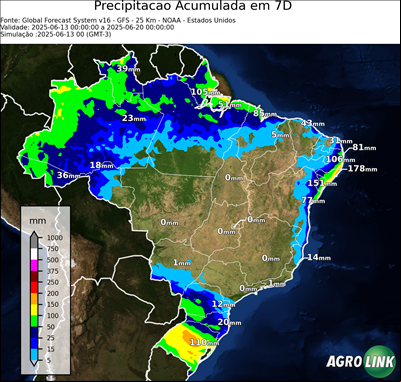 7 dias