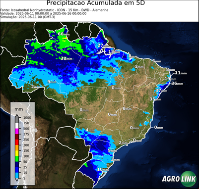 5 dias