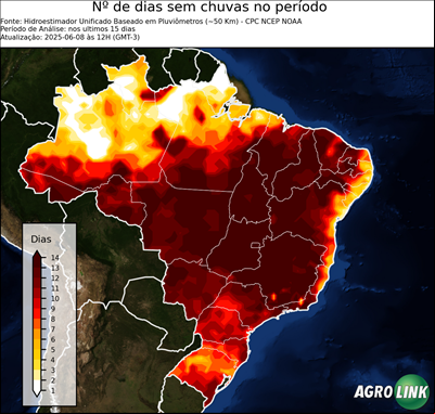 15 dias