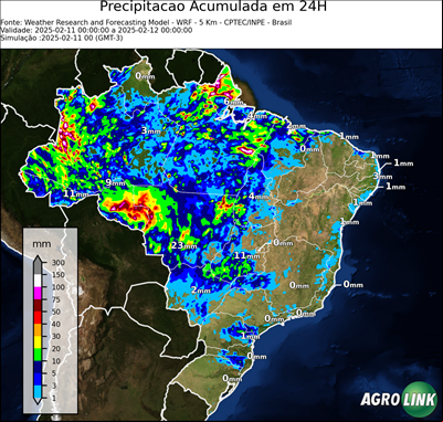24 horas