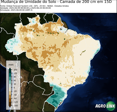 15 dias